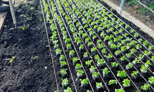 2EFF9D62-AFD7-48DC-8669-7BB43F1049C2