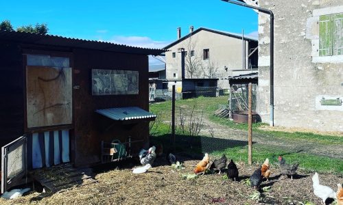 EA6F402D-8B50-4E3E-B715-421DFF1847D2